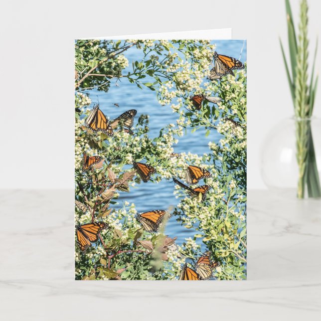 Tarjeta Haz que cenes (Anverso)