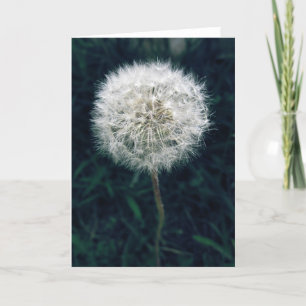 Tarjeta Haz un Deseo