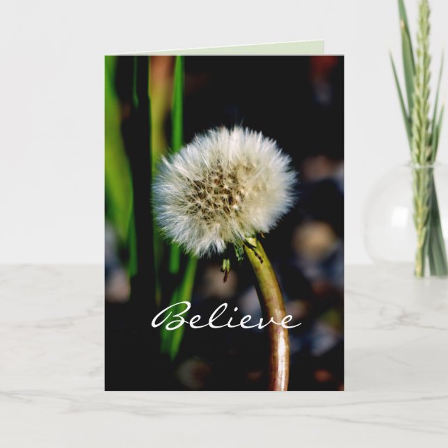 Tarjeta Haz un deseo, crea, Dandelion, en blanco adentro (Anverso)