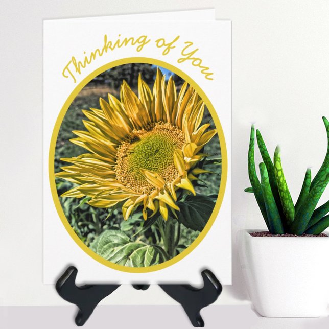 Tarjeta HDR Sunflower Photo Thinking of You Template (Subido por el creador)
