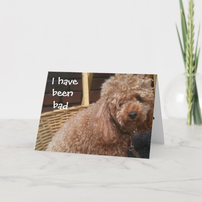 TARJETA HE SIDO MAL CUMPLEAÑOS (Anverso)