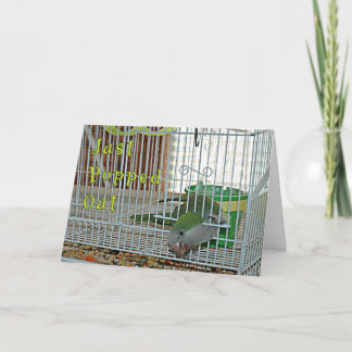 Tarjeta Hecho estallar hacia fuera