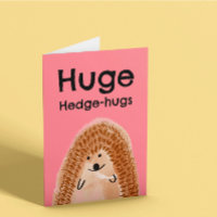 Hedgehog Ponte Bien