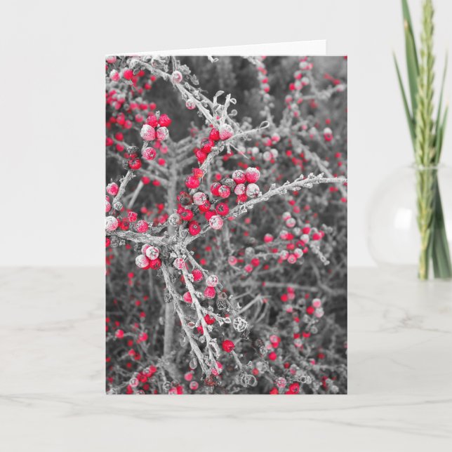 Tarjeta helada de las bayas (Anverso)