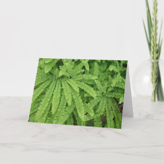 Tarjeta Helecho Maidenhair de Cinco Dedos
