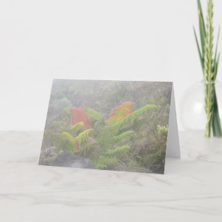 Tarjeta Helechos en la niebla - Haleakala, Maui