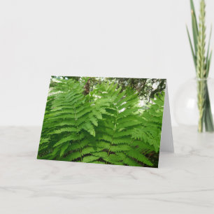Tarjeta Helechos IV Verde Naturaleza Botánica