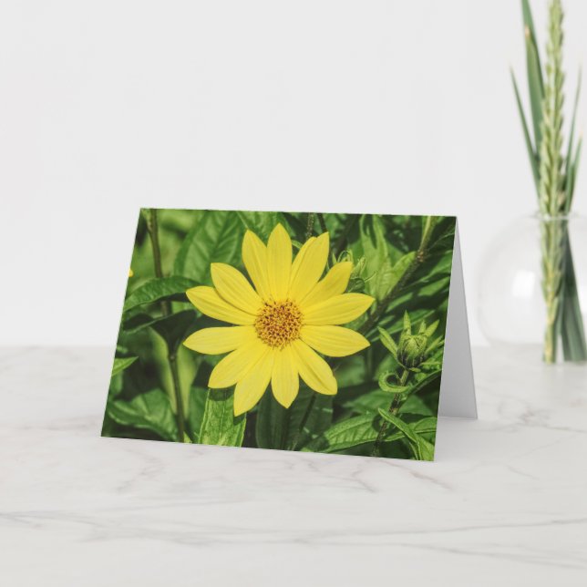 Tarjeta Helianthus 'Lemon Queen' Sunflower (Anverso)