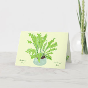 Tarjeta Helicóptero de nido de pájaro asplenium - dibujand