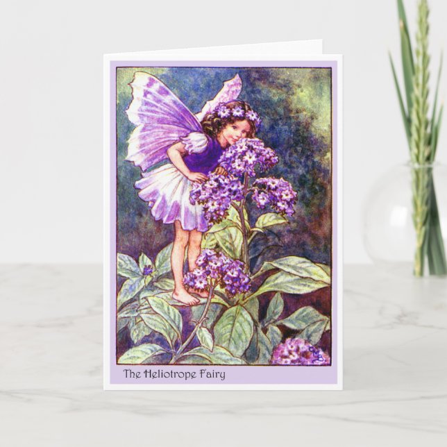 Tarjeta Heliotrope Fairy (Anverso)