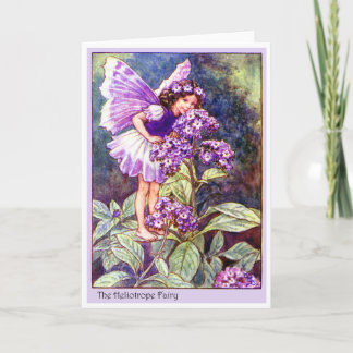 Tarjeta Heliotrope Fairy