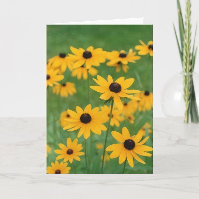 Tarjeta Hello Black Eyed Susie (Anverso)