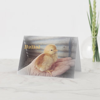 Tarjeta "Hello" de Baby Chick