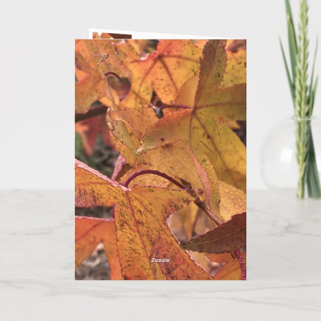 Tarjeta "Hello Fall!" Greeting Card (Reverso)