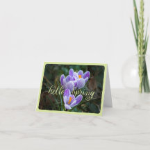 "Hello Spring" y Crocuses plegable Greeting Card
