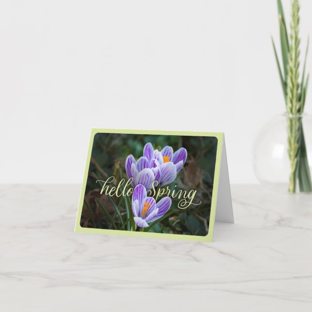 Tarjeta "Hello Spring" y Crocuses plegable Greeting Card (Anverso)