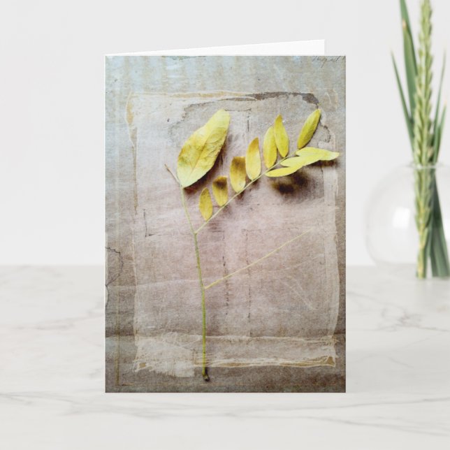 Tarjeta Herbario V (Anverso)