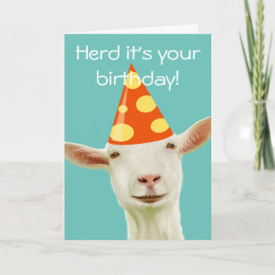 Tarjeta Herd es tu cumpleaños de una cabra divertida