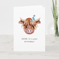 Herd es tu vaca de cumpleaños en Highland
