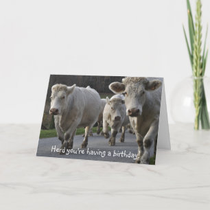 Tarjeta ¡Herd, estás teniendo un cumpleaños!