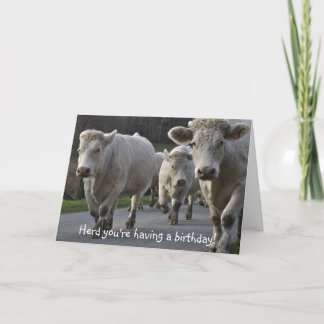 Tarjeta ¡Herd, estás teniendo un cumpleaños!
