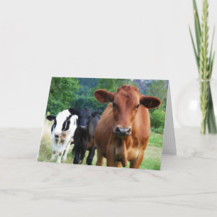 Tarjeta Herd, no te sentías bien