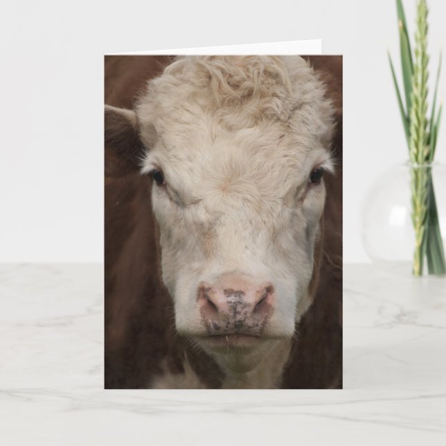 Tarjeta Hereford (Anverso)