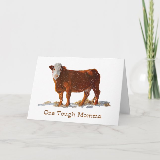 Tarjeta Hereford Cow: Una mamá dura: Día de la Madre (Anverso)
