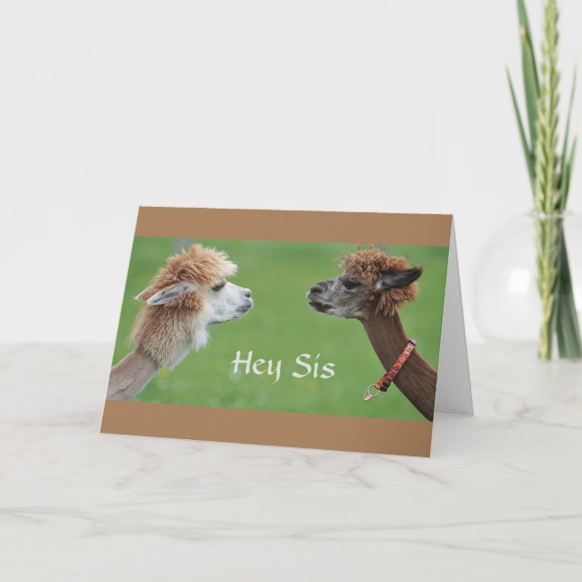 TARJETA ¡HERMANA HUMOR POR MI FAV *HERMANA* CUMPLEAÑOS! (Anverso)