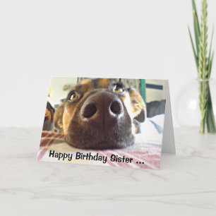 Tarjeta ¡Hermana una del feliz cumpleaños que miro para