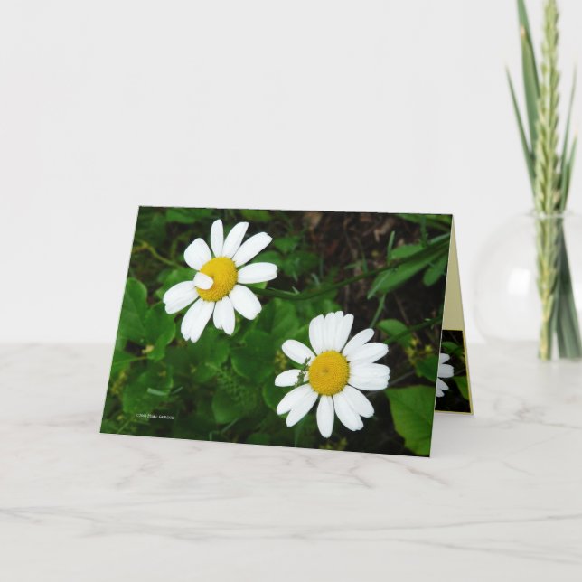 Tarjeta Hermanas (Anverso)