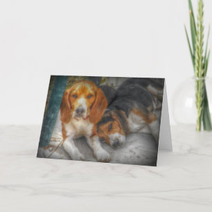 Tarjeta Hermano Beagles