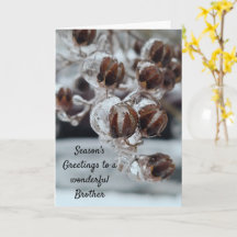 Hermano de la temporada de saludos