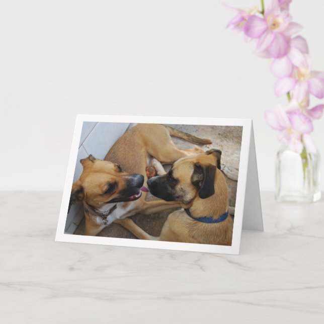 Tarjeta Hermano y hermana, retrato de perro (Orquídea)