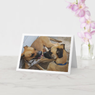 Tarjeta Hermano y hermana, retrato de perro