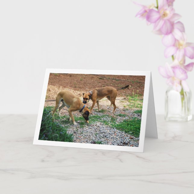 Tarjeta Hermano y hermana, retrato de perro (Orquídea)