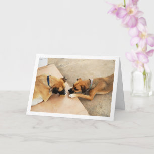 Tarjeta Hermano y hermana, retrato de perro