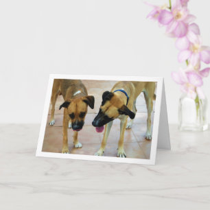 Tarjeta Hermano y hermana, retrato de perro