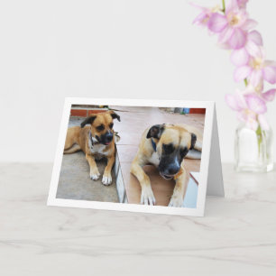 Tarjeta Hermano y hermana, retrato de perro