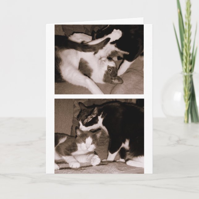 Tarjeta Hermanos - hermanos y hermanas (Anverso)