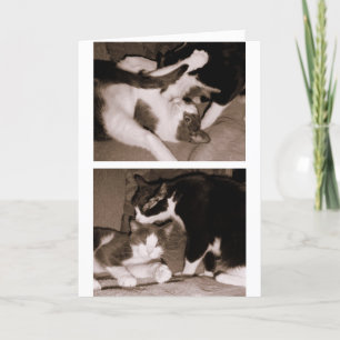 Tarjeta Hermanos - hermanos y hermanas