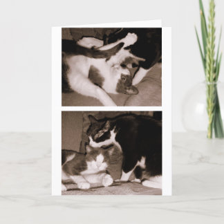 Tarjeta Hermanos - hermanos y hermanas