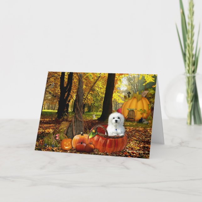 Tarjeta Hermes el maltés (Anverso)