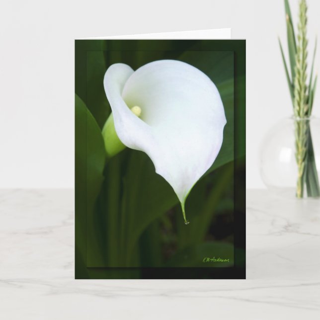 Tarjeta Hermosa calla lily (Anverso)