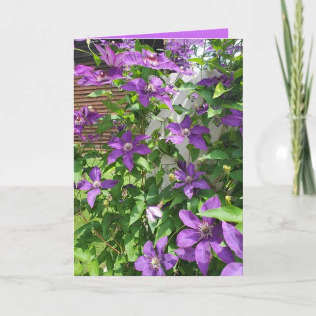 Tarjeta Hermosa Clemátide Morada Floral En Blanco (Anverso)