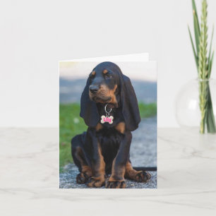 Tarjeta Hermosa Coonhound Cualquier Ocasión