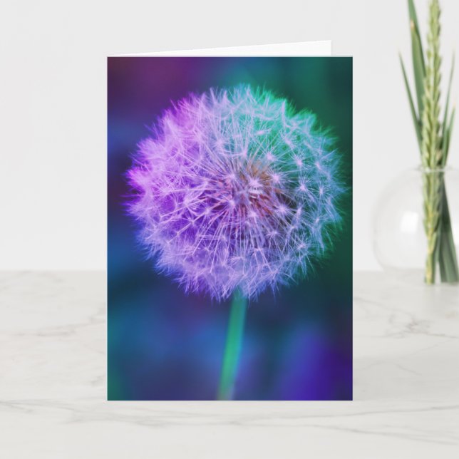 Tarjeta Hermosa Dandelion sobre fondo verde y azul (Anverso)