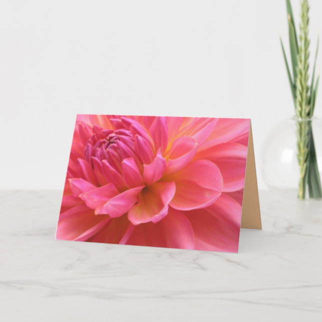 Tarjeta hermosa de la dalia (Anverso)