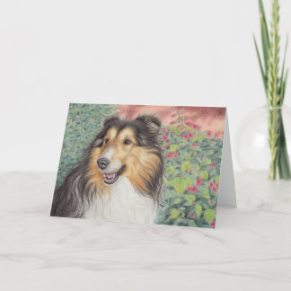 Tarjeta hermosa de Sheltie