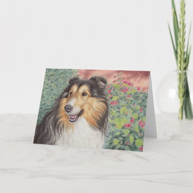 Tarjeta hermosa de Sheltie (Anverso)